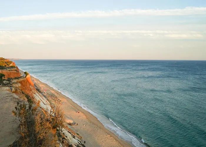 Pine Cliff By The Portuguese Butler *