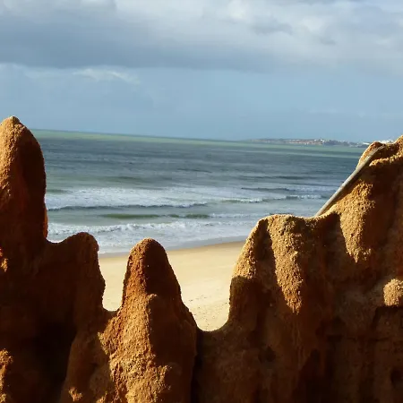 Pine Cliff By The Portuguese Butler Apartment