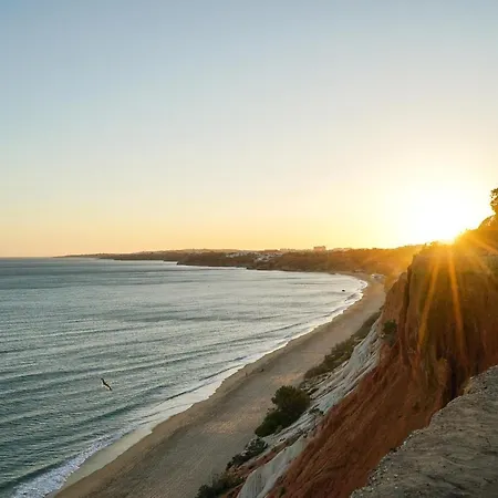 Pine Cliff By The Portuguese Butler
