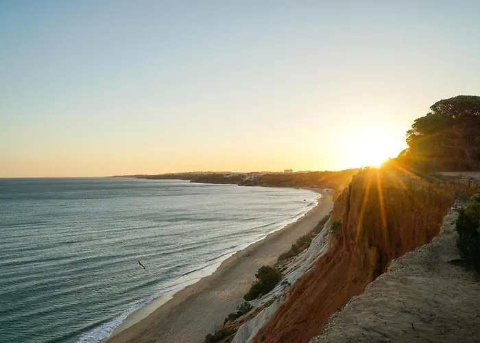 Pine Cliff By The Portuguese Butler